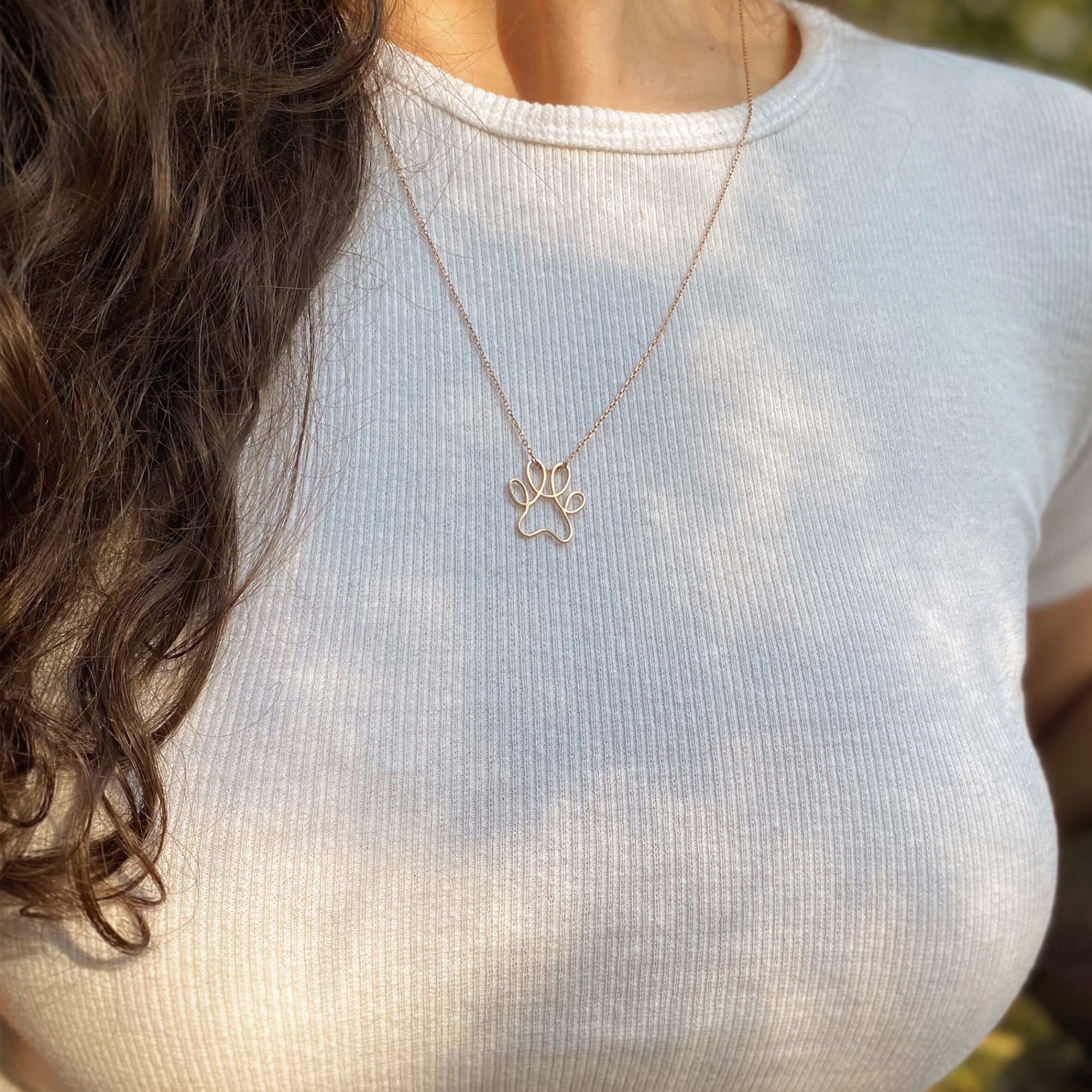 In Dogs We Trust Kolyesi