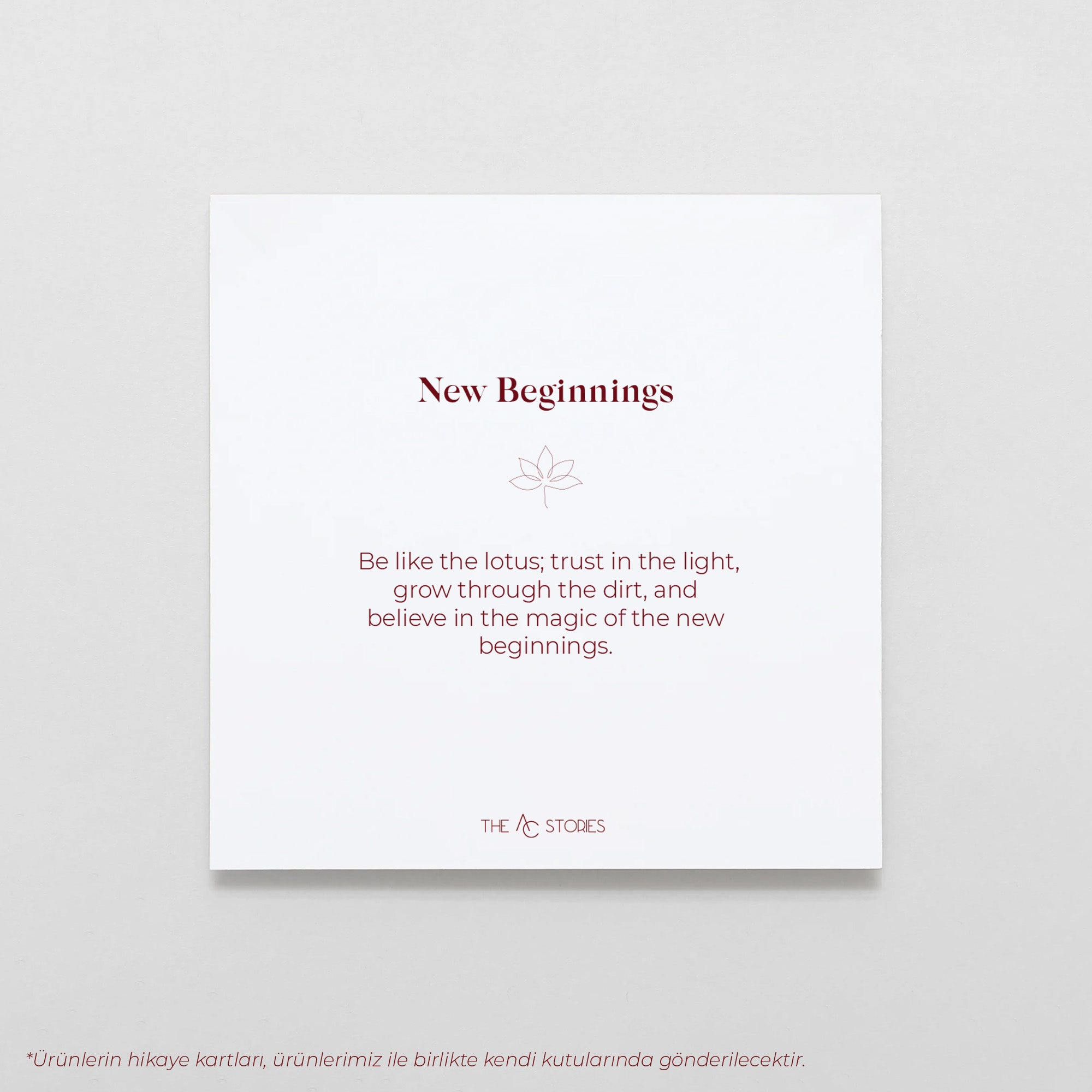 New Beginnings Kolyesi